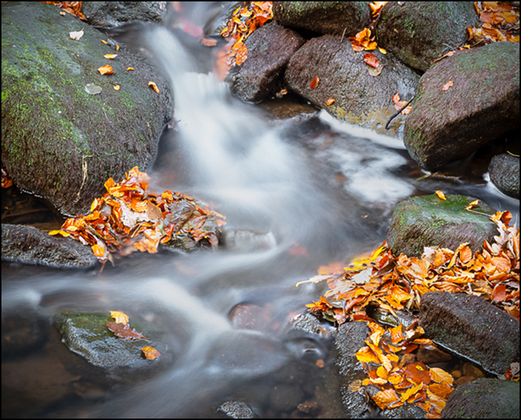 PG No 4 - Bottom Left.jpg